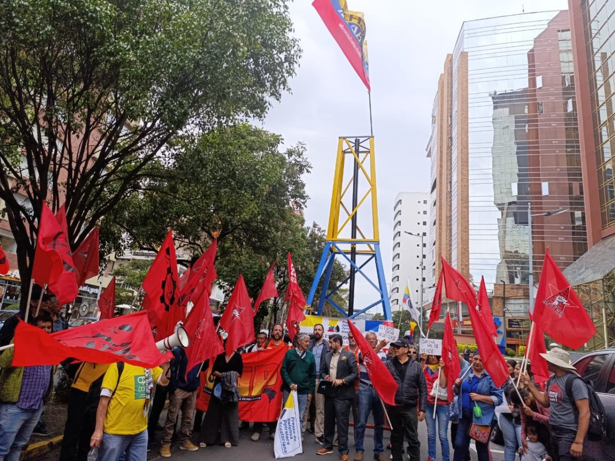 Sacha: ¿Quién está realmente detrás del&nbsp;negocio?